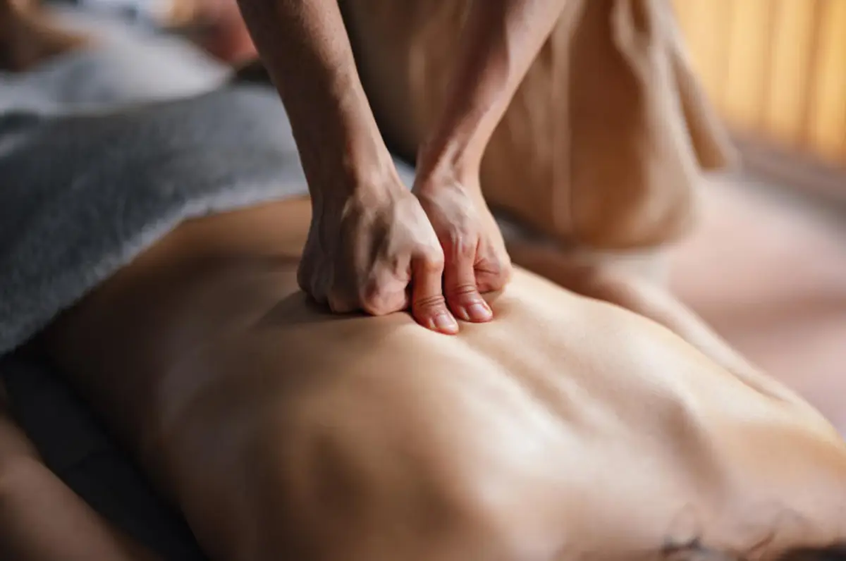 Office worker back pain massage guide at Sunny Thai Spa